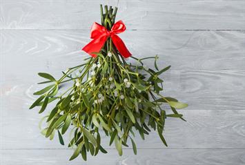 christmas mistletoe